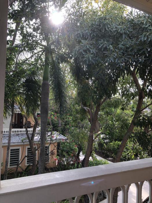 The Fred - Adults Only Frederiksted