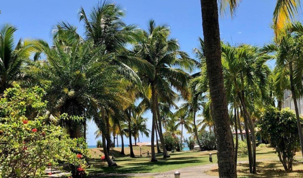 Apartment Ti.maanga Vue Pieds Dans L'eau Saint-Francois (Grande-Terre)