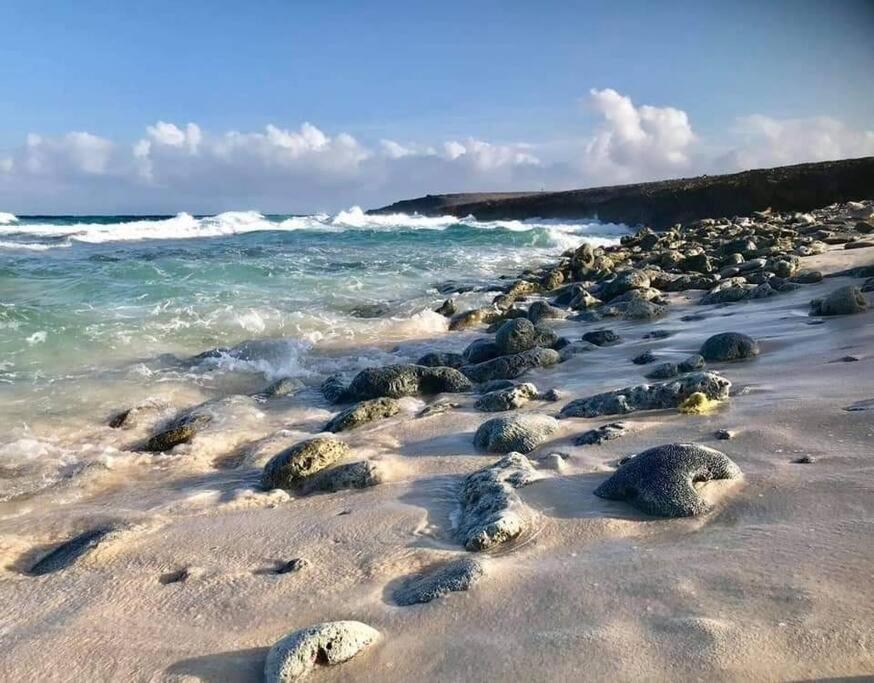 Aruba The Pearl - At Eagle - Minute Walk! Palm Beach