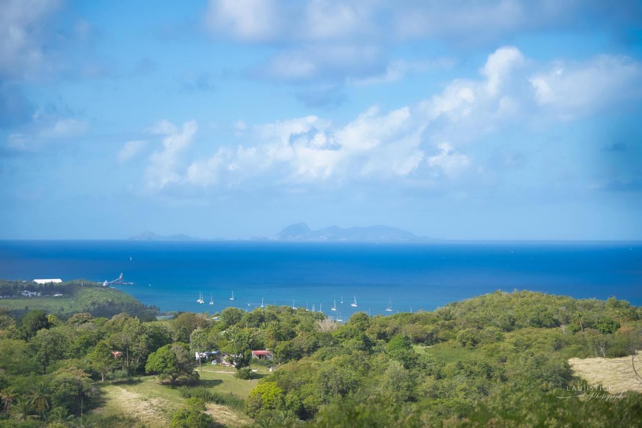 Guest house Location Bellevue - Pomme Cannelle