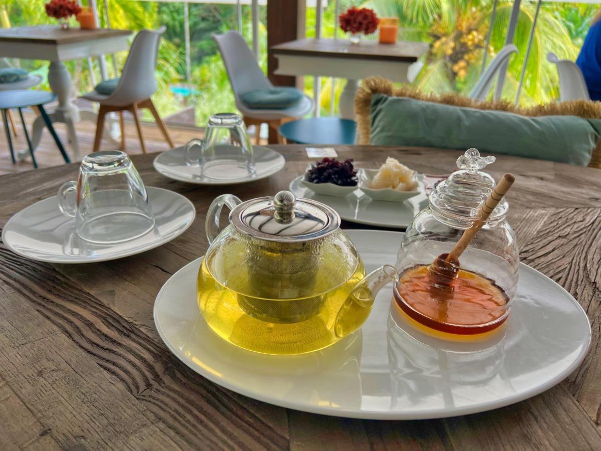 Lord Domaine - Piscine & - Bar & Lounge - Restaurant Gastronomique Villa