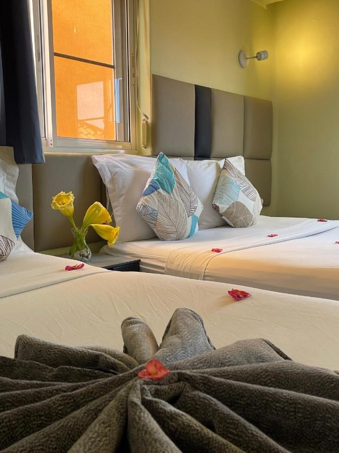 Iguana Bed & Breakfast