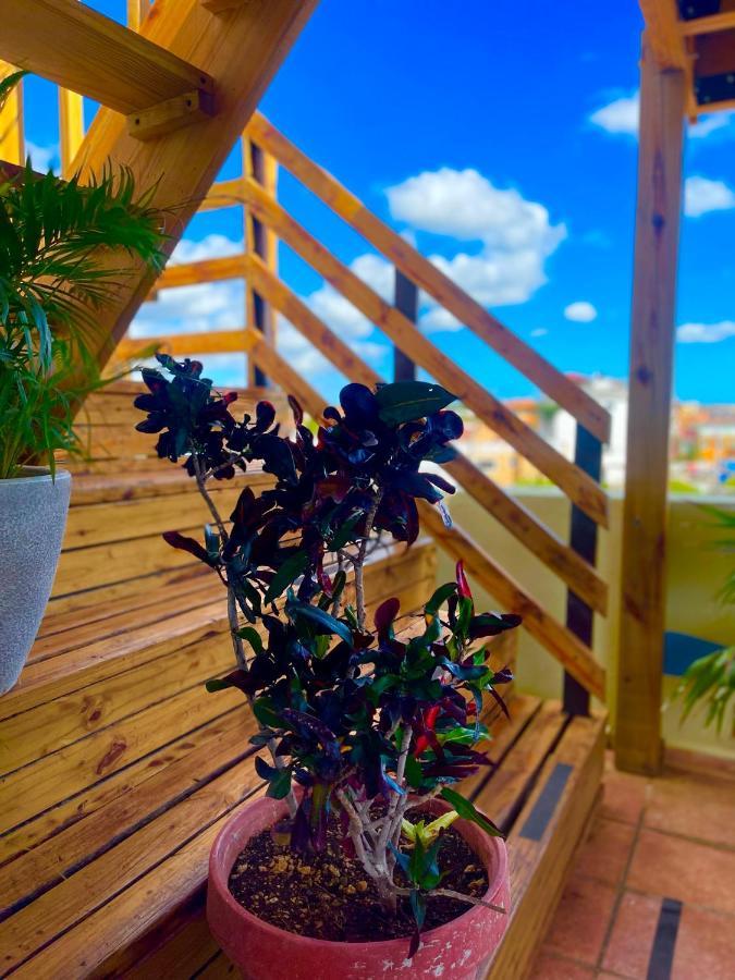 Bed & Breakfast Iguana 3*