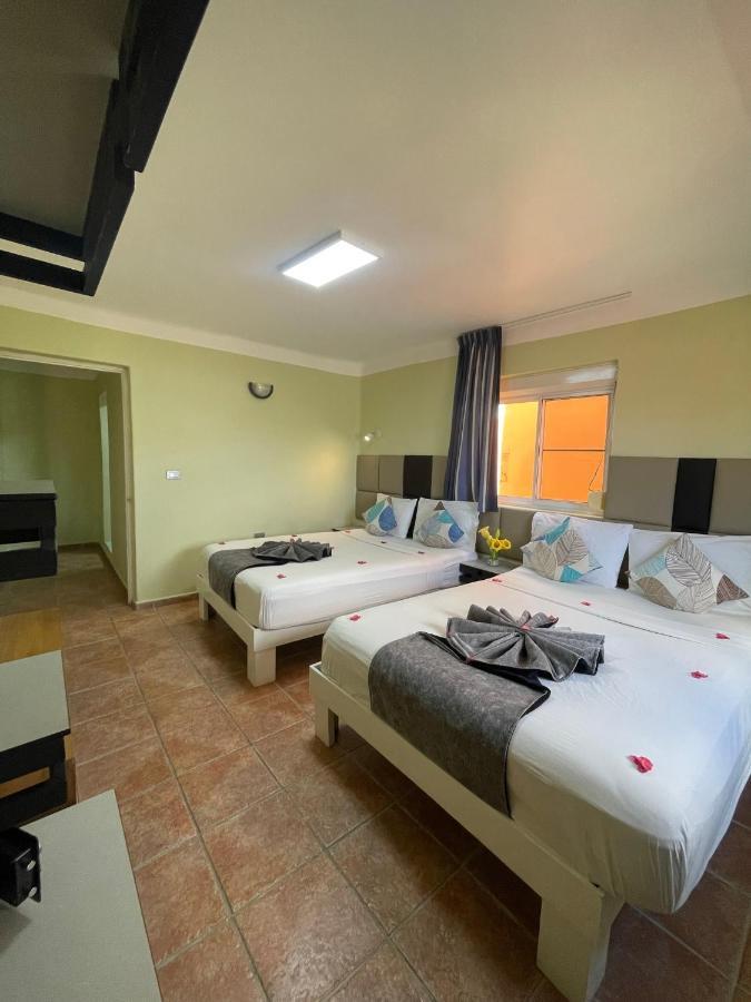 Iguana Bed & Breakfast