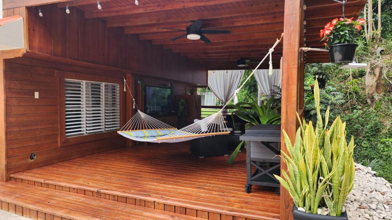 Palm's Luxury With Private Jacuzzi Apartment