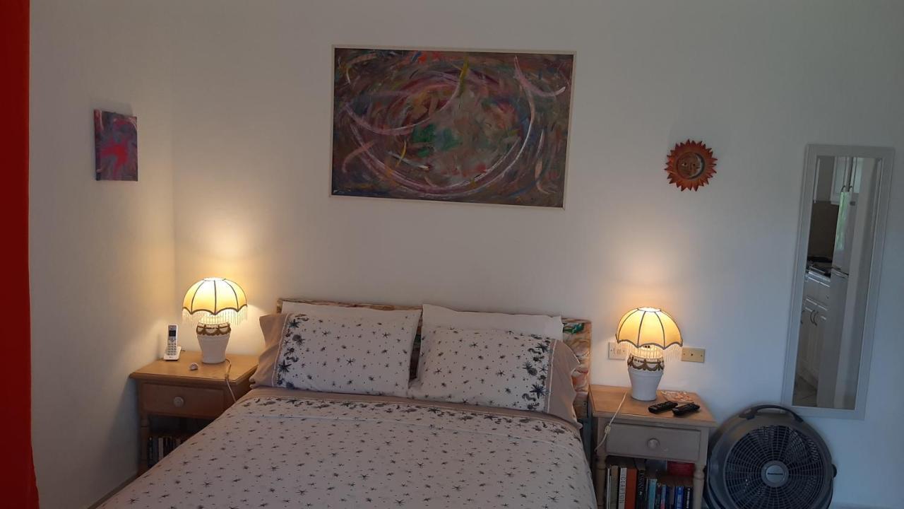 Tropical Gecko - Sweet Jewel Apartment Christ Church