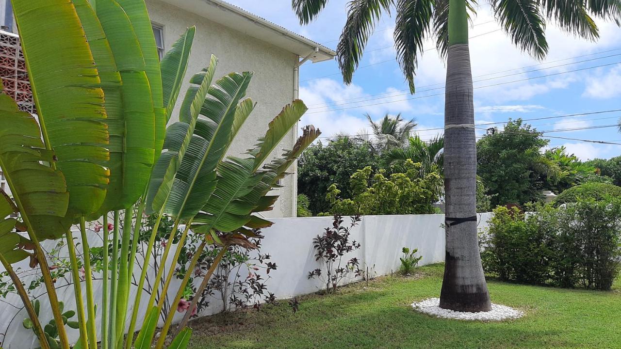 Apartment Tropical Gecko - Sweet Jewel Christ Church