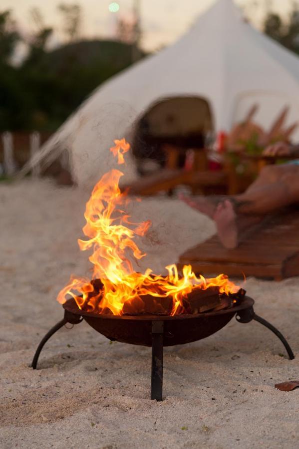 Wild Lotus Glamping 5* Bolands
