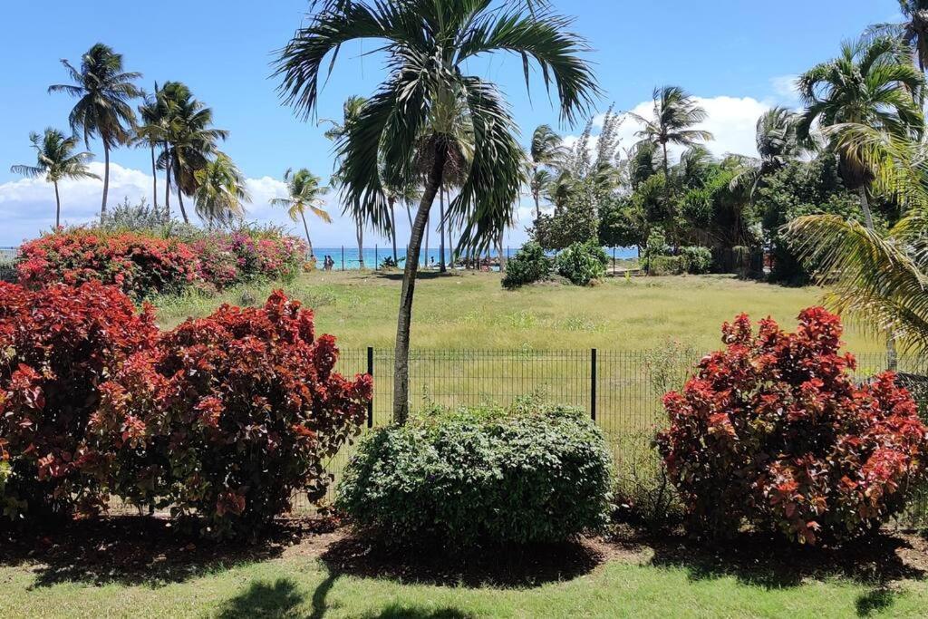 Parfum Des Iles - Vue Mer, A 30m Et Piscine En Option * Le Gosier (Grande-Terre)