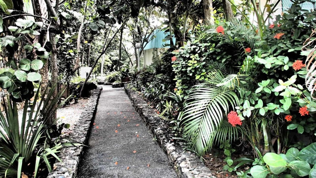 Flamboyan On The Bay & Aparthotel