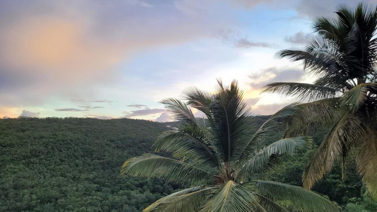 Domaine Karaibes Casa de férias *