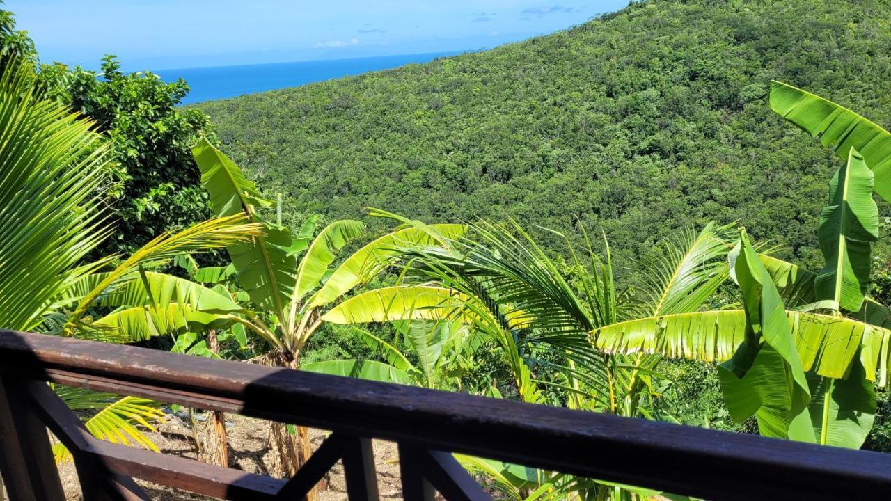 Domaine Karaibes *
