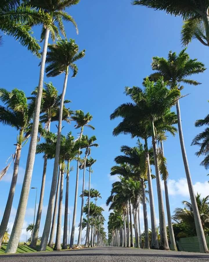 Apartment Tropic Village Vue Guadeloupe St Anne *