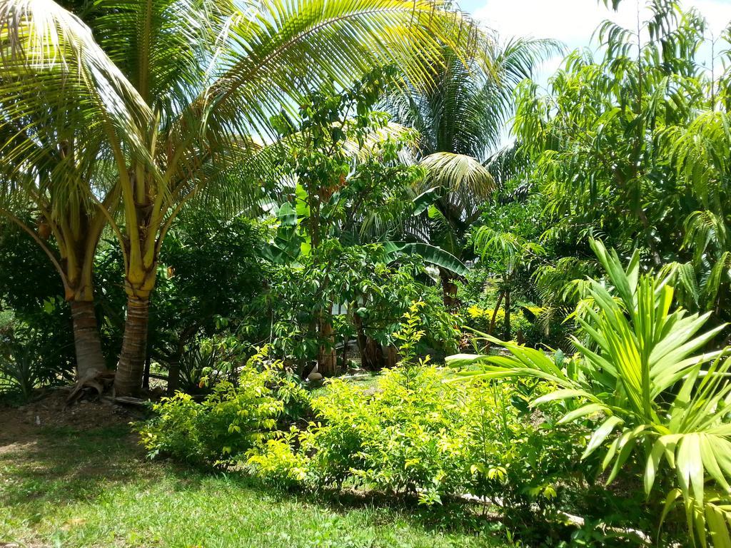 Corosol Apartment Roseau
