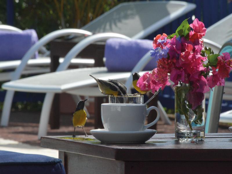 Marquis Boutique Hotel 4*