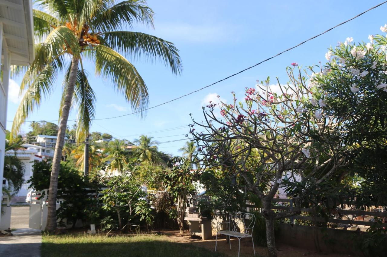 Le Colibri Et Le Frangipanier Apartamento