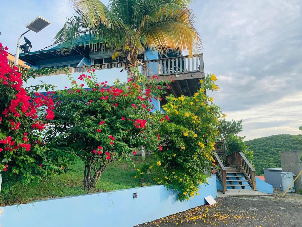 Apartment Coqui Home, Culebra Isla Culebra