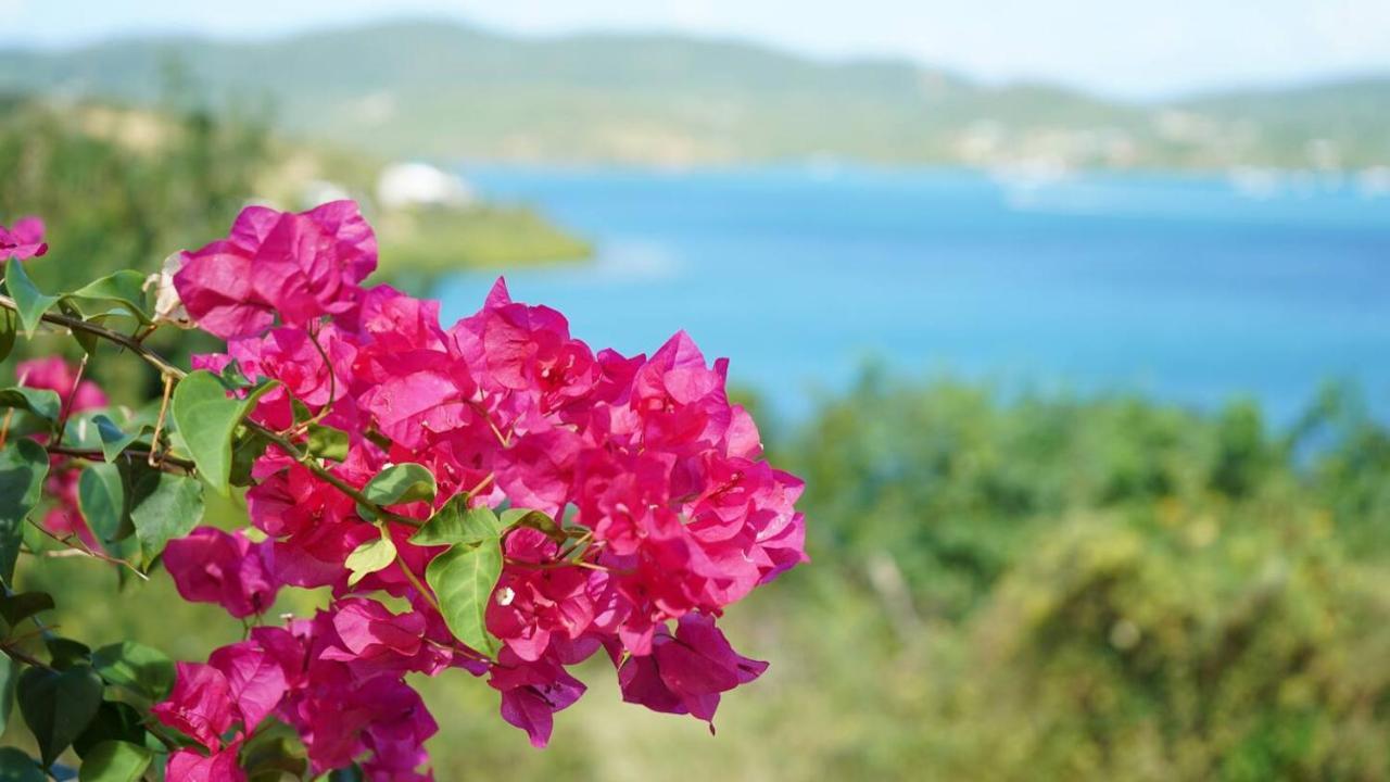Coqui Home, Culebra *