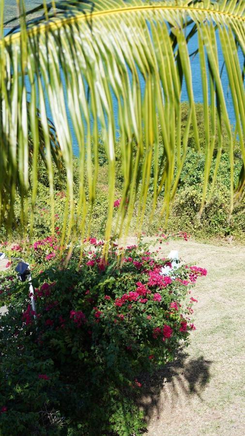 Coqui Home, Culebra *