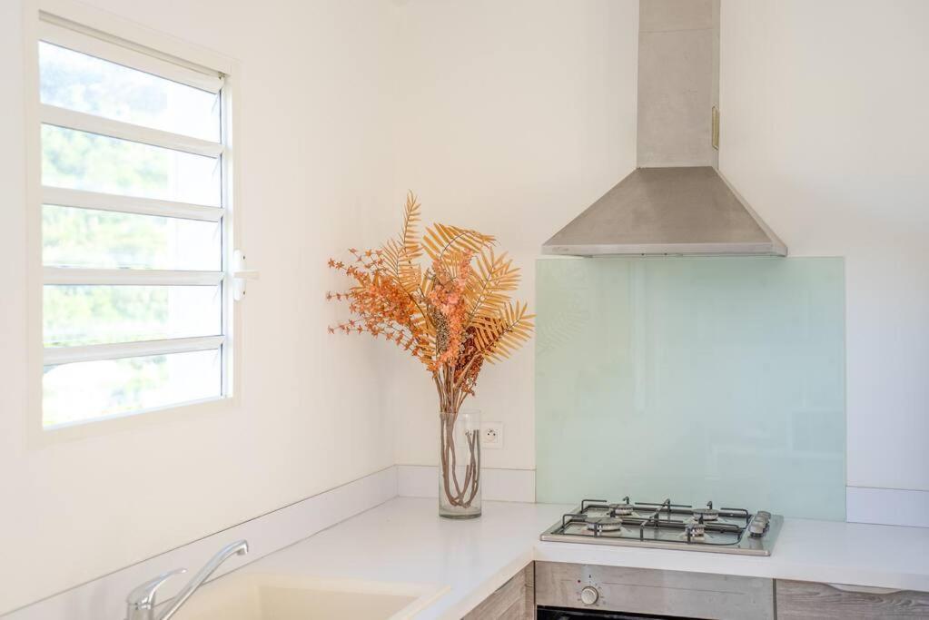 Maison Palmier Blanc Apartment *
