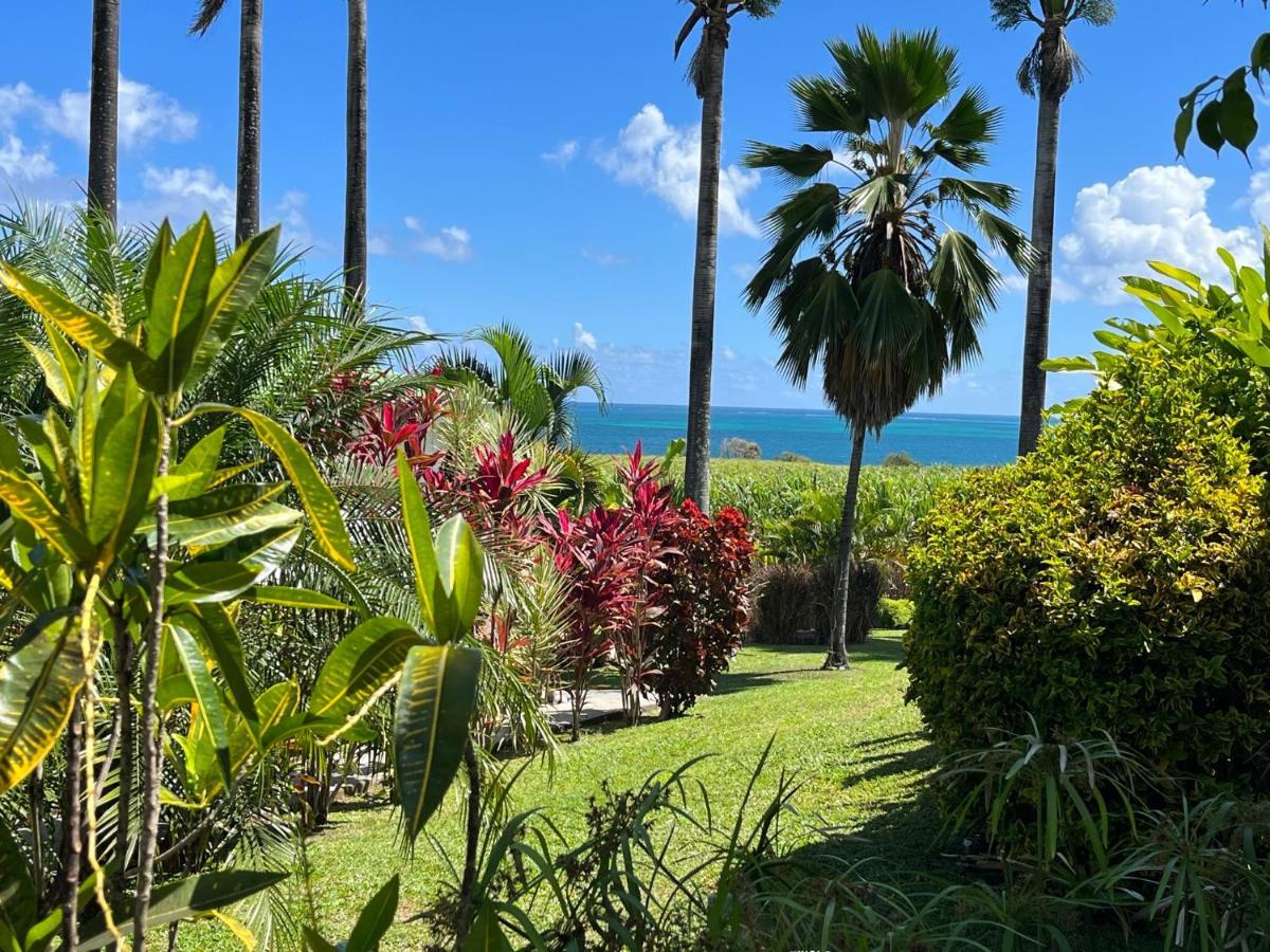 Indigo Palmes Holiday home