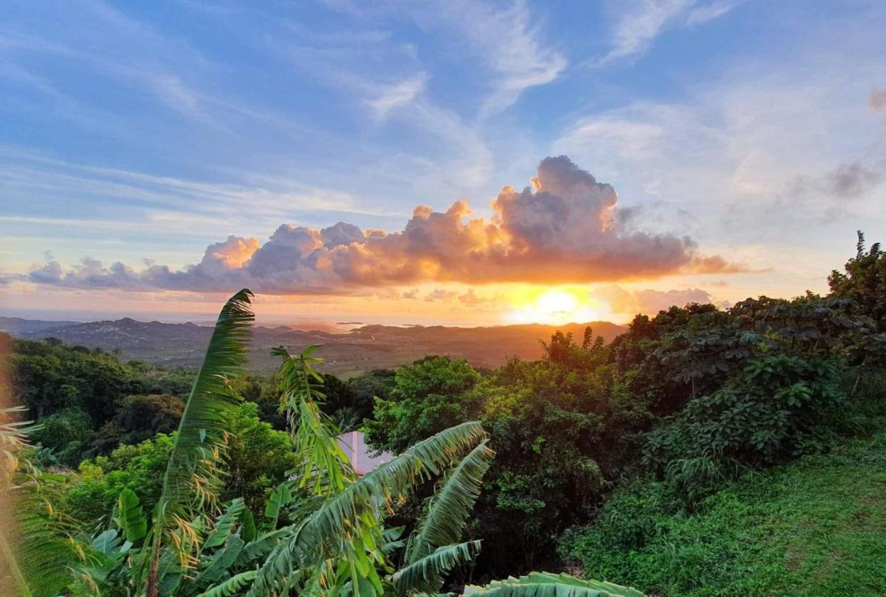 La Perle Caribeenne Guest house Le Lamentin