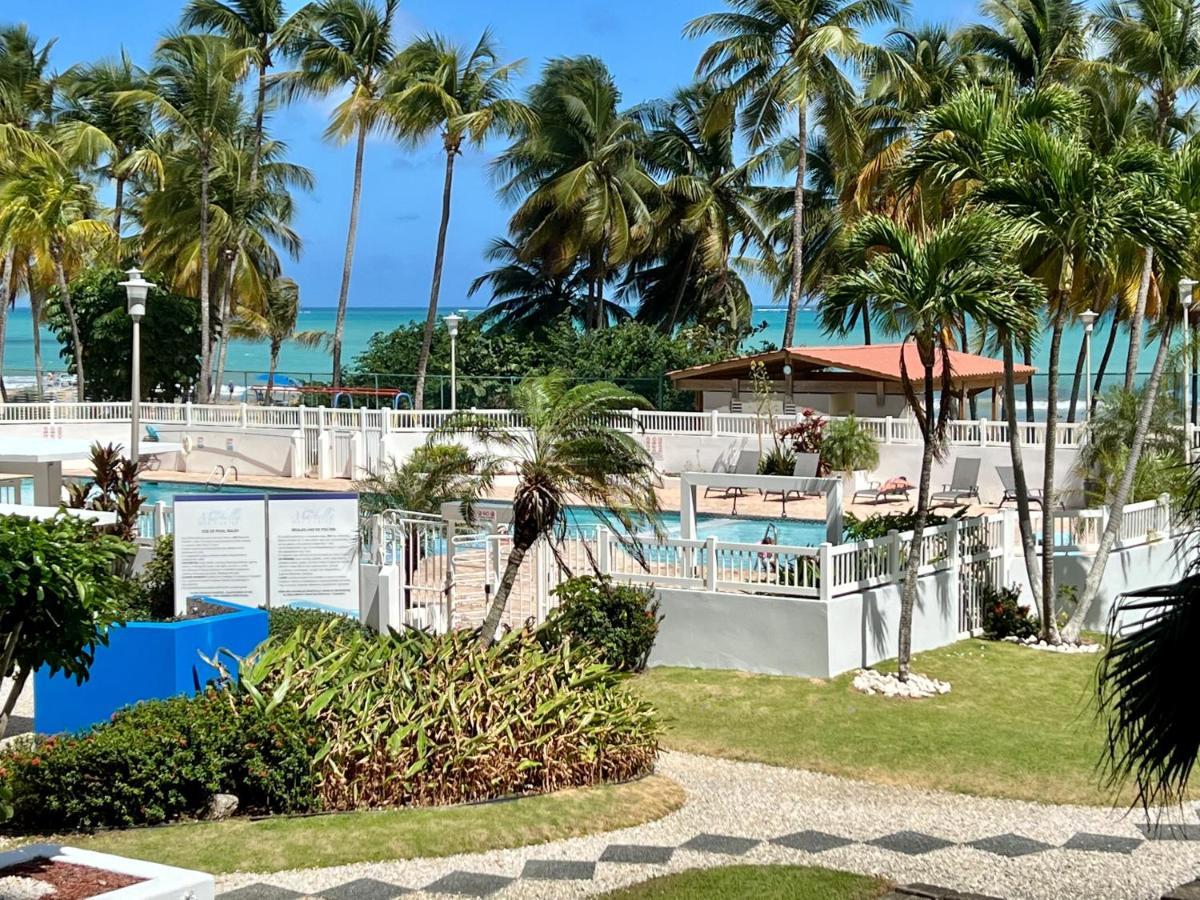 Beachfront Tropical Tantra