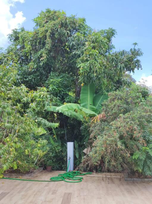 L'eucalyptus Guest house *