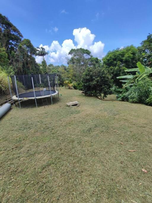 L'eucalyptus Guest house