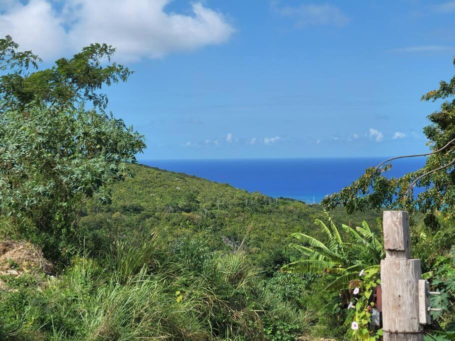 Relax And Unwind At Scenic Plateau * Montego Bay