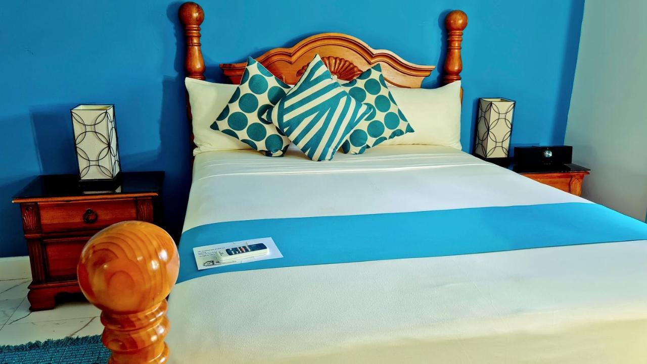 Casa Alexandria Guest Apartamento Kingston