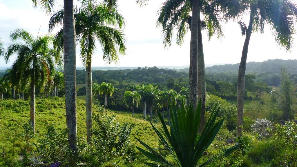 Acampamento Camping National Park Close To Beach Puerto Plata