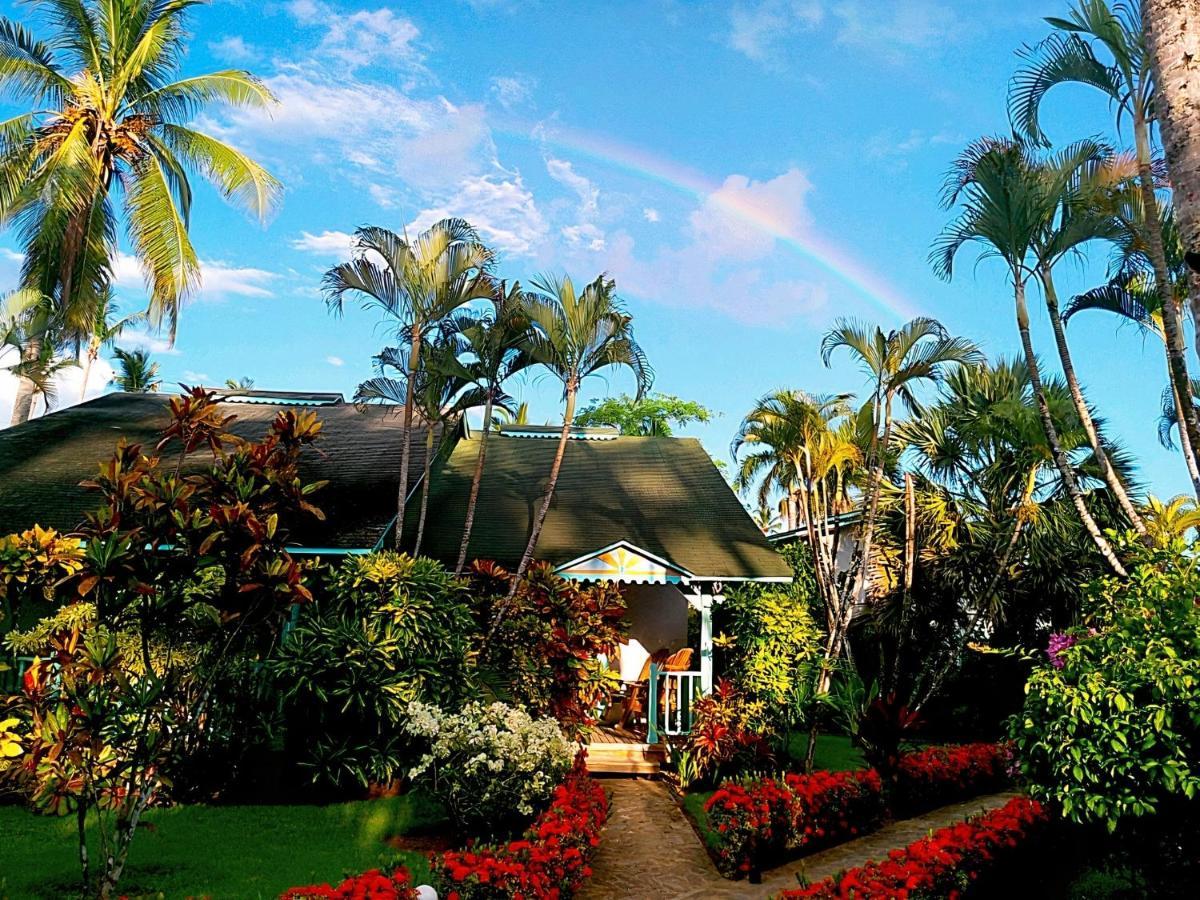 Inn Palmas Eco Las Terrenas