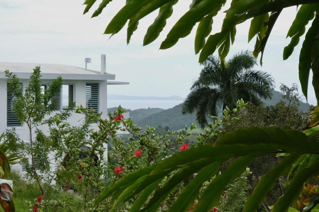 Wald Haus By Dw * Naguabo