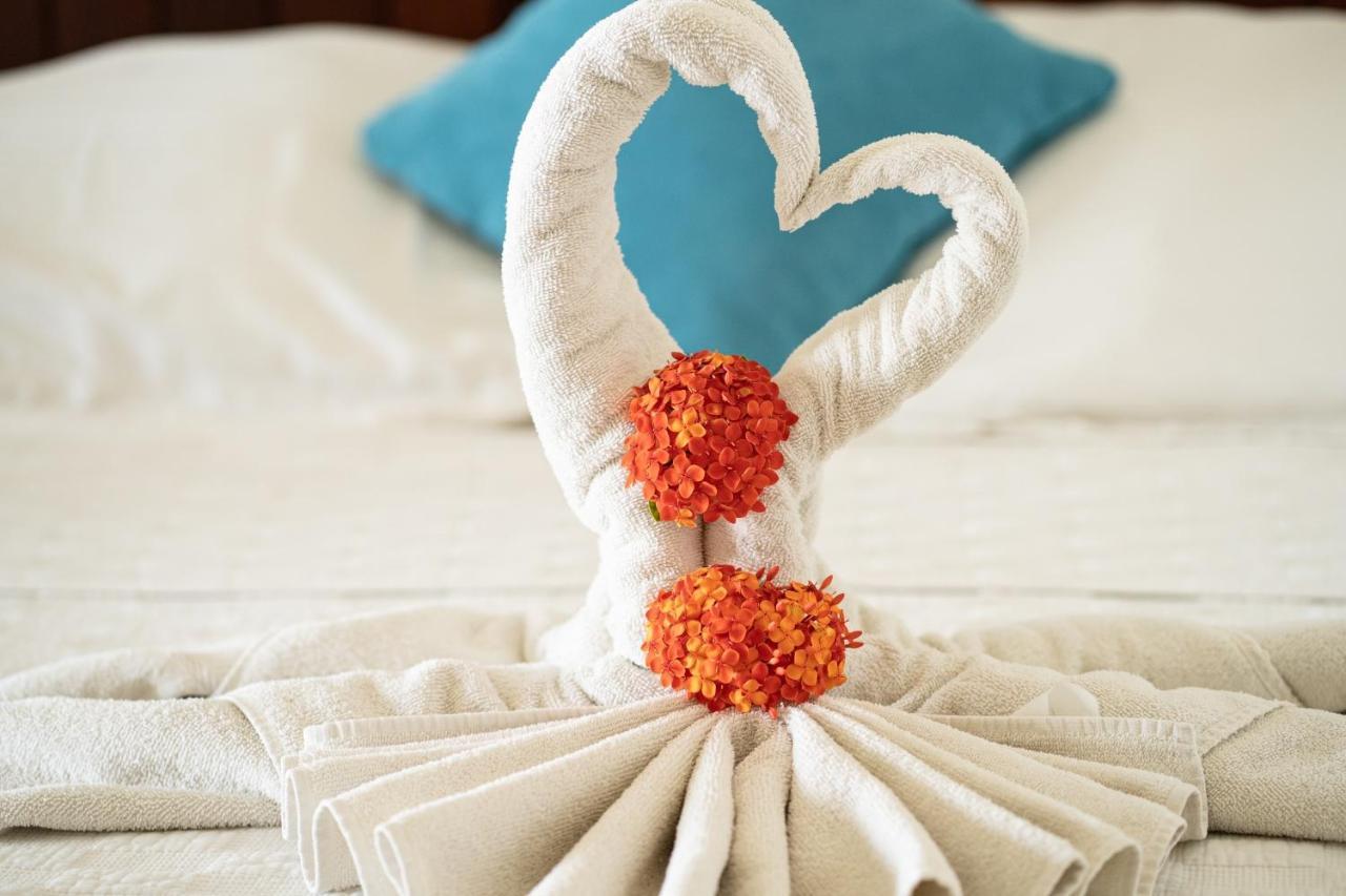 Apartment Agualina Kite Oceanfront Cabarete