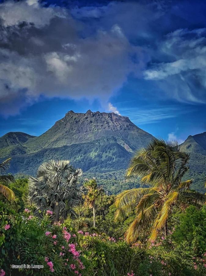 Vue Exclusive Et Volcan, Village Avec Et Piscine, Les Gwadastudios Apartamento