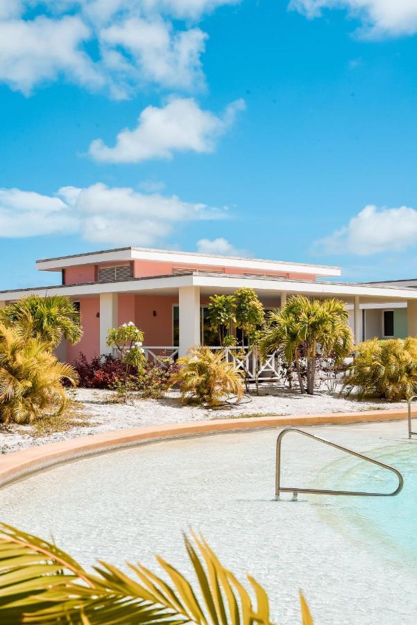 Chogogo Dive & Bonaire
