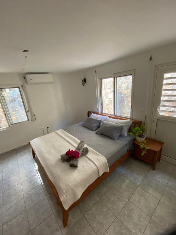 Palace Casa de hóspedes Grand Case