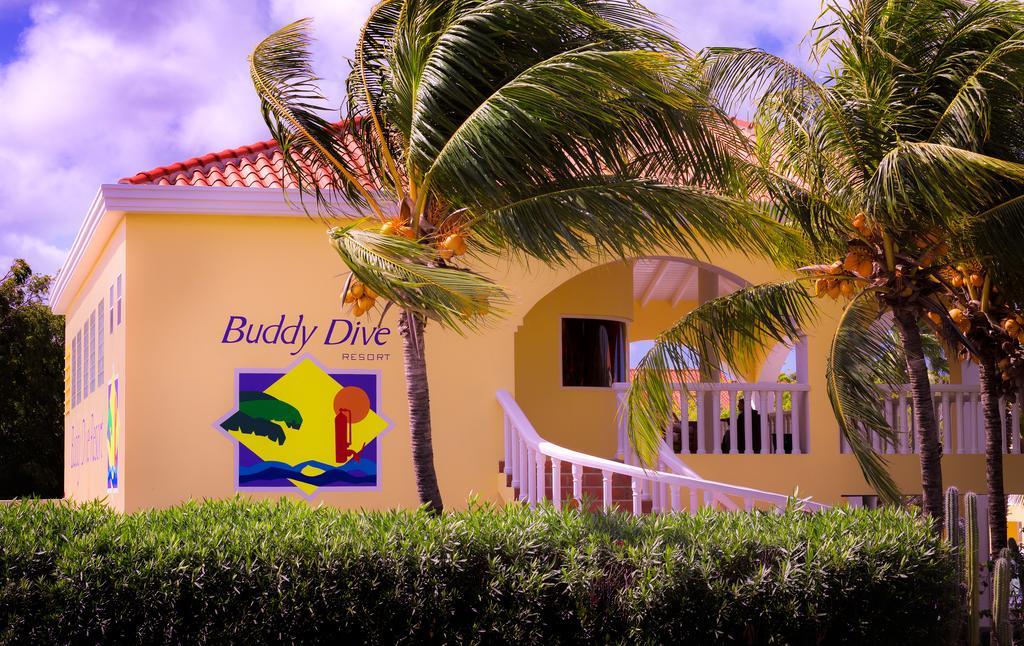 Buddy Dive