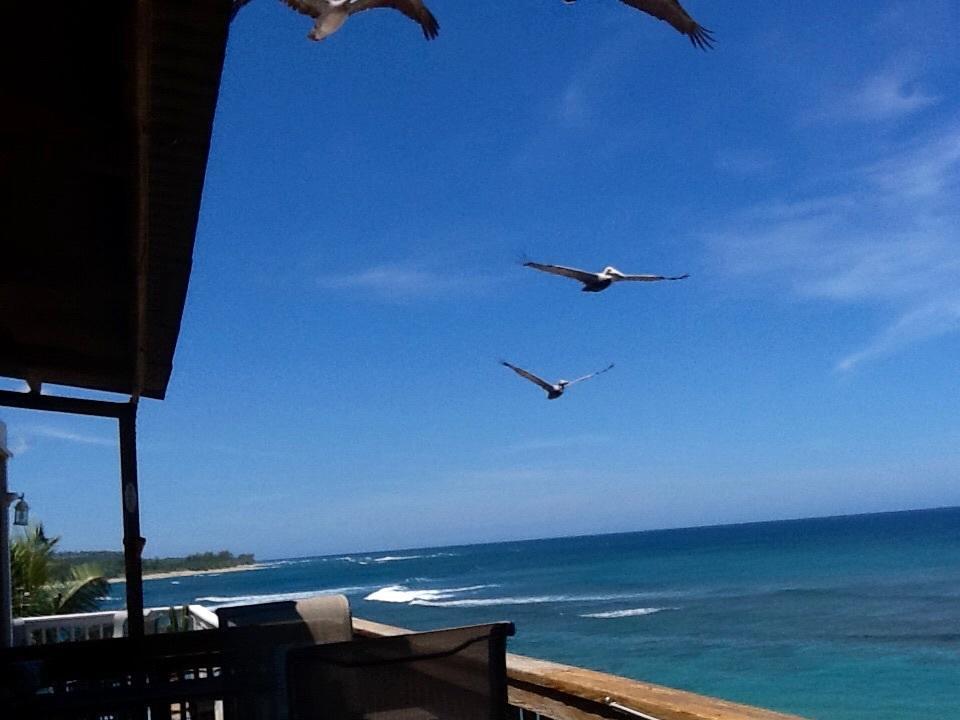 Western Puerto Rico Beach Villas,