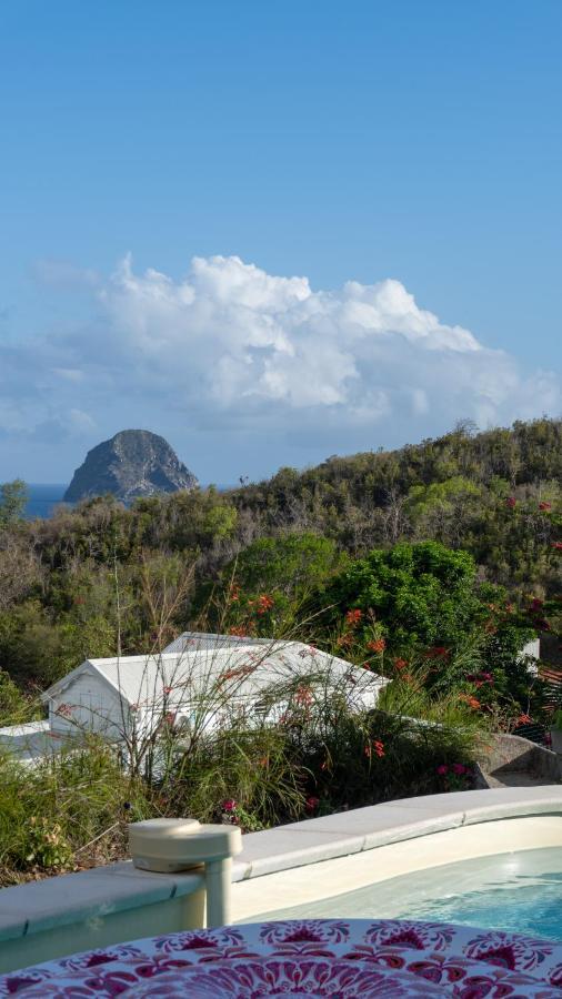 Ananas - Exotic Martinique Holiday home