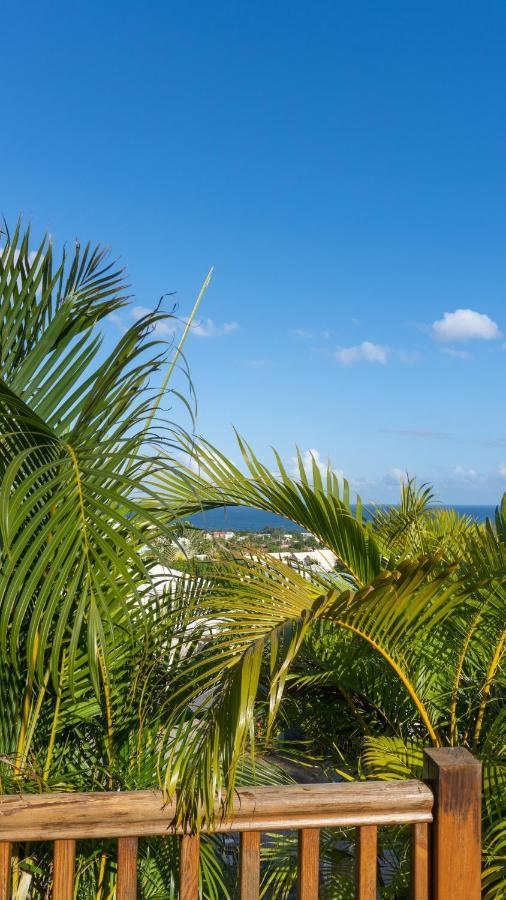 Ananas - Exotic Martinique