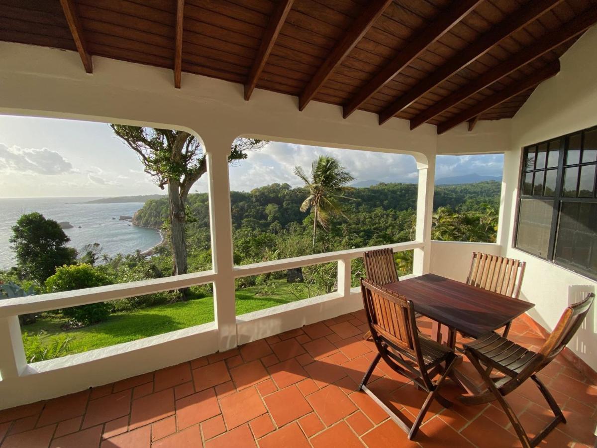 Sea Cliff Eco-cottages & Gin Distillery Holiday home