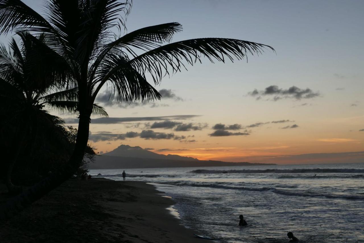 La Caribeenne De La Des Surfeurs