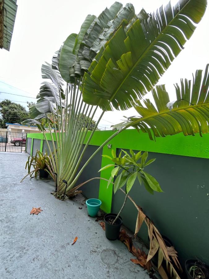 Guest house Good Vibe Vieques
