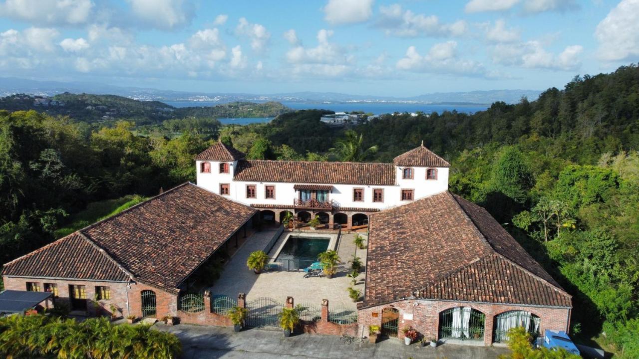Domaine Du Chateau