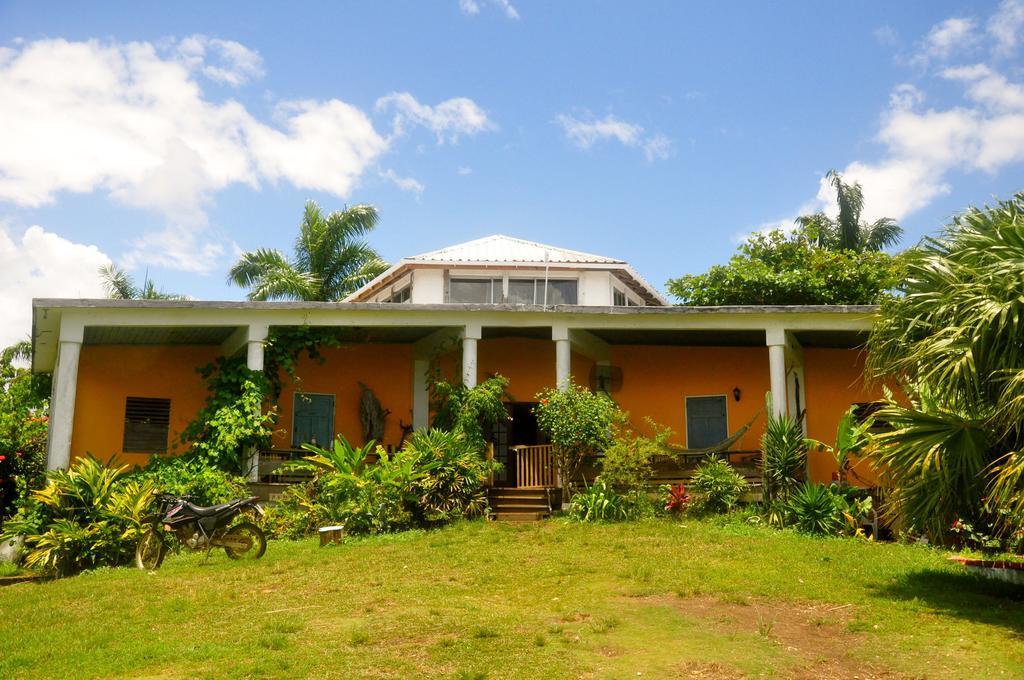 Hostel Germaican