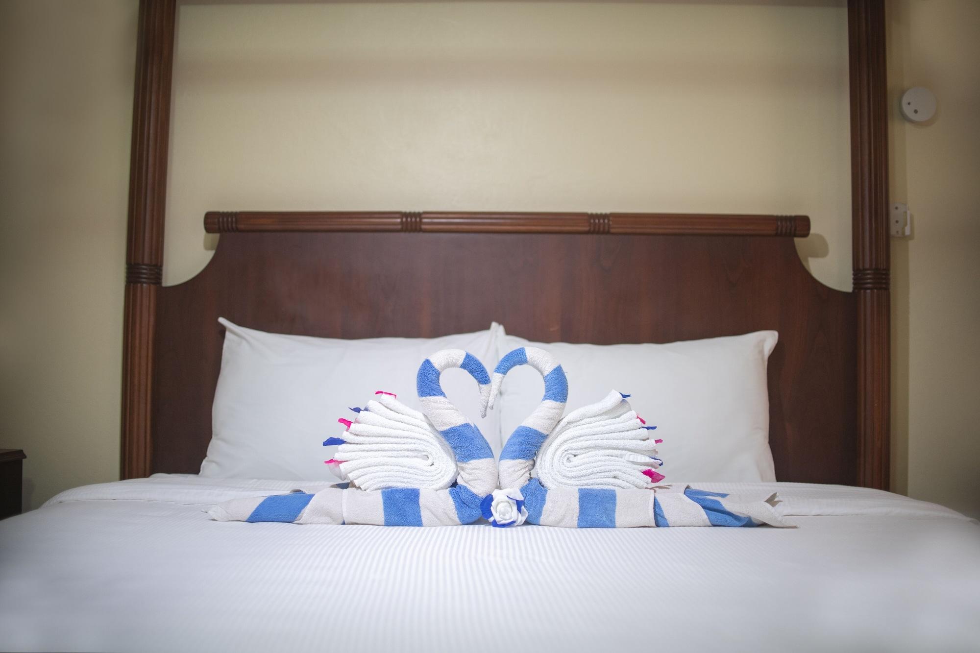 Bay View Eco & 3*