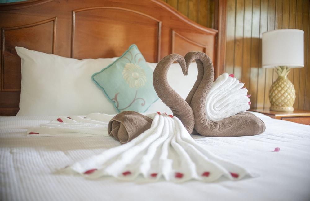 Hotel Bay View Eco &