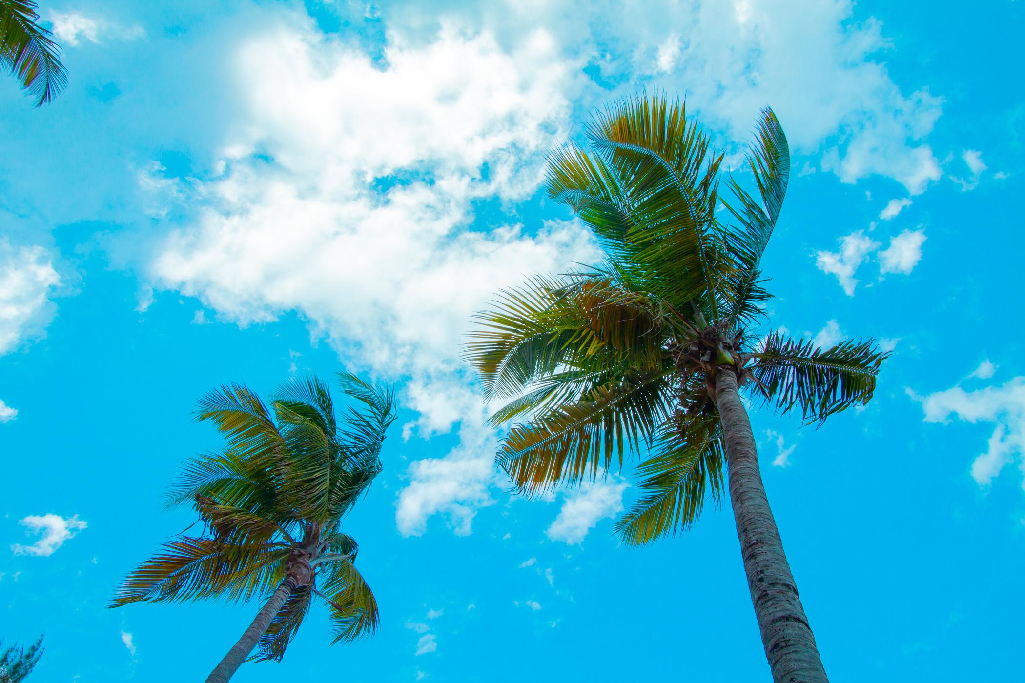Hotel Tryp By Wyndham Isla Verde San Juan
